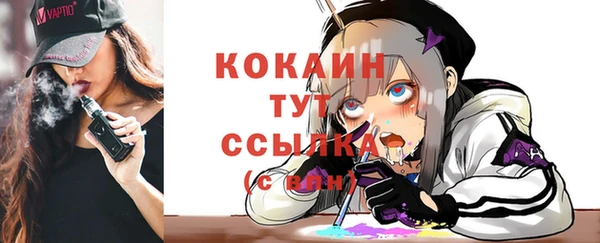 соль ск Новодвинск
