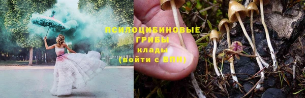 мдпв Беломорск