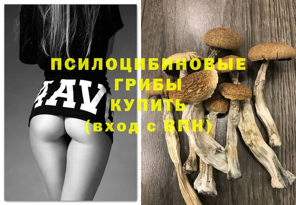 спиды Белокуриха