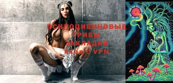 спиды Белокуриха